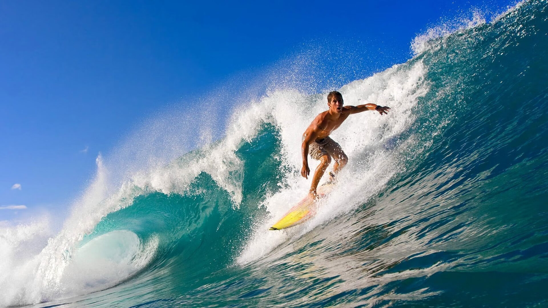 “霍斯特与南非羚羊队的成功配合，谱写历史篇章”