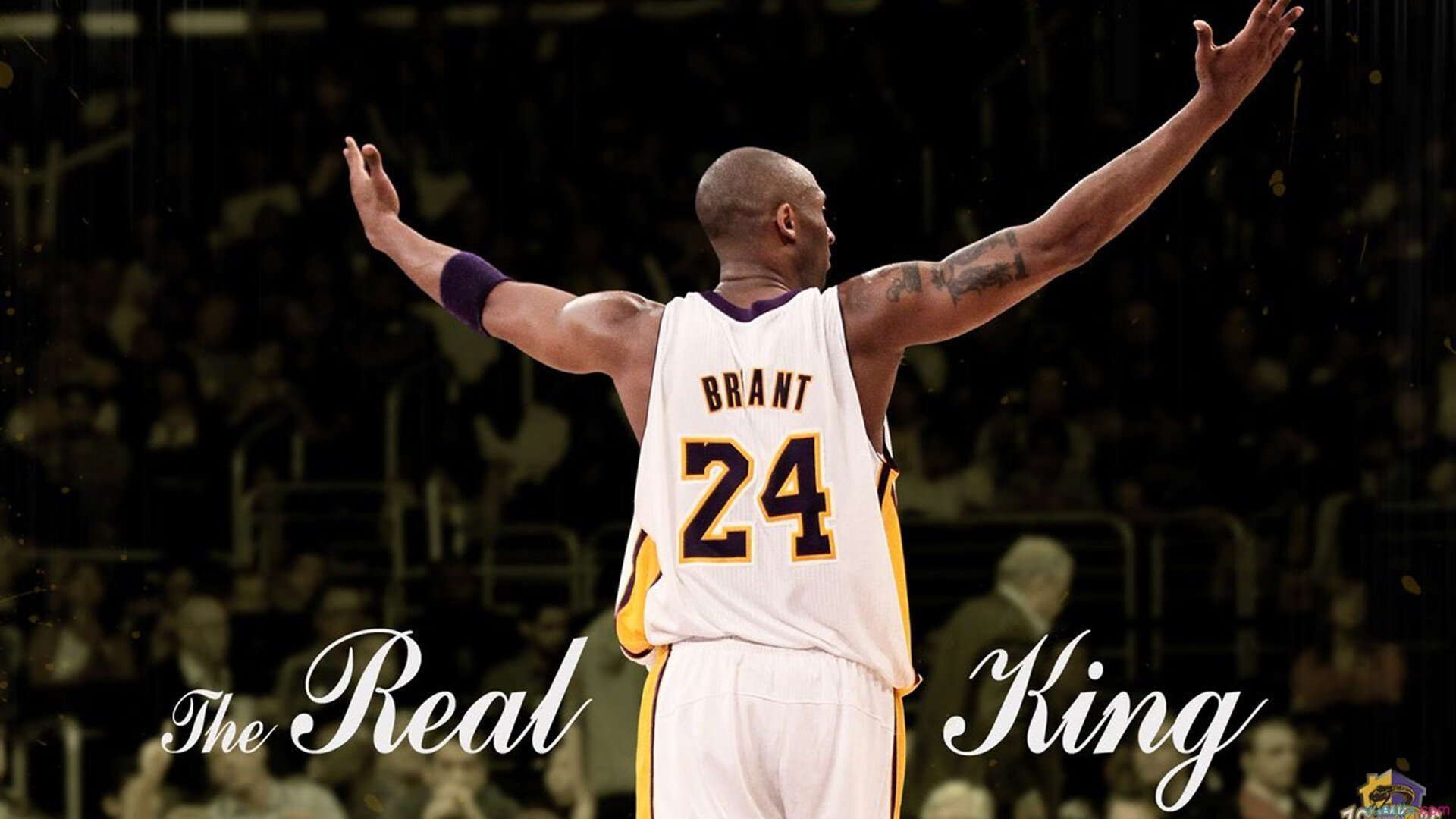 九游-_爵士队稳扎稳打，迎来宝贵战果_，爵士队的阵容